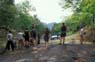 Photo-CD-Kategorie: Flasergabbro; Bild 1