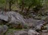 Photo-CD-Kategorie: Flasergabbro; Bild 8