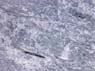 Photo-CD-Kategorie: Detailaufnahmen; Bild 2