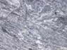 Photo-CD-Kategorie: Detailaufnahmen; Bild 6