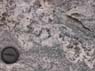 Photo-CD-Kategorie: Detailaufnahmen; Bild 8
