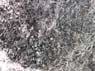 Photo-CD-Kategorie: Detailaufnahmen; Bild 10