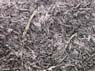 Photo-CD-Kategorie: Detailaufnahmen; Bild 13