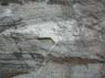 Photo-CD-Kategorie: Detailaufnahmen; Bild 18