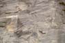 Photo-CD-Kategorie: Detailaufnahmen; Bild 19