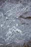 Photo-CD-Kategorie: Gneis; Bild 7