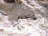 Photo-CD-Kategorie: Marmor; Bild 2