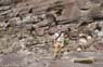 Photo-CD-Kategorie: Staudamm; Bild 7