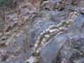Photo-CD-Kategorie: Strassenaufschluss gebankt; Bild 2