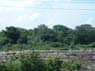 Photo-CD-Kategorie: Elefanten; Bild 6