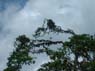 Photo-CD-Kategorie: Flughunde; Bild 20